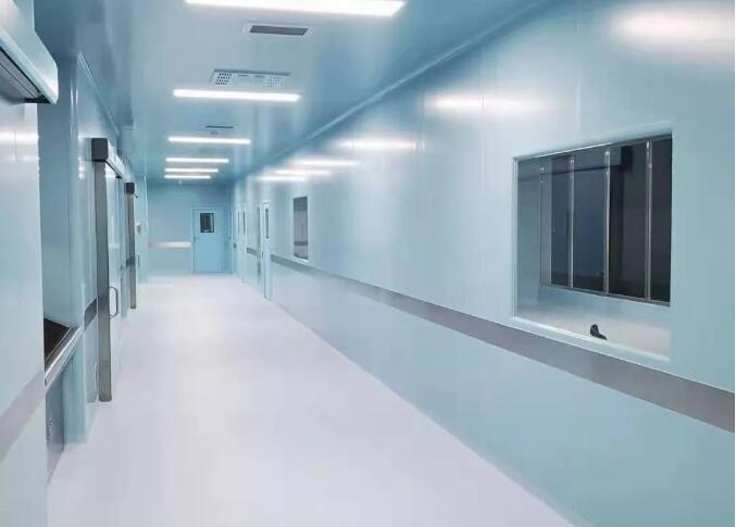 Difficulties in Purification Engineering Construction